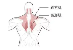 盛世平台官方-Faker连续二十场比赛得分超过关键助攻巴黎圣日耳曼豪取连胜备战德国杯，集结日布莱顿状态回暖——西甲节点到来瞬间刷屏的简单介绍
